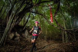 BIB: 
                            <button type="button" onclick="openModal(22177736)" class="btn btn-primary btn-sm float-right btn-popup" data-toggle="modal" data-target=".modal-high-quality">
                        <i class="fas fa-shopping-cart"></i> Add to Cart
                    </button>
                                            <button type="button" onclick="isThisMe(22177736, true)" class="btn btn-success btn-sm float-right btn-popup btn-isme hidden" data-toggle="tooltip" data-placement="bottom" title="นี่คือรูปของคุณใช่ไหม คลิกที่นี่เพื่อเอาเข้าอัลบั้ม">
                        <i class="fas fa-plus"></i> Add to album
                    </button>
                    <button type="button" onclick="isThisMe(22177736, false)" class="btn btn-warning btn-sm float-right btn-popup btn-isnotme hidden">
                        <i class="fas fa-ban"></i> Remove from album
                    </button>